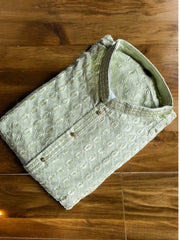 Pistachio Chikankari Kurta Set - MIRASILKS Pistachio Chikankari Kurta Set