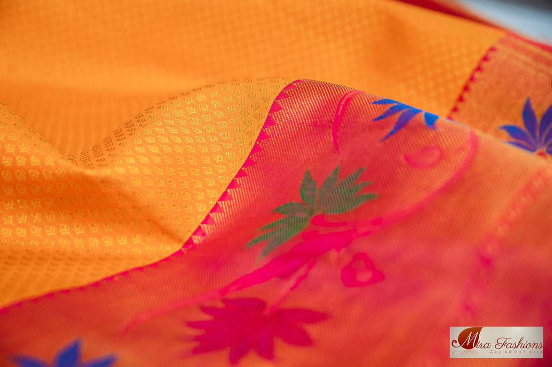 Sari