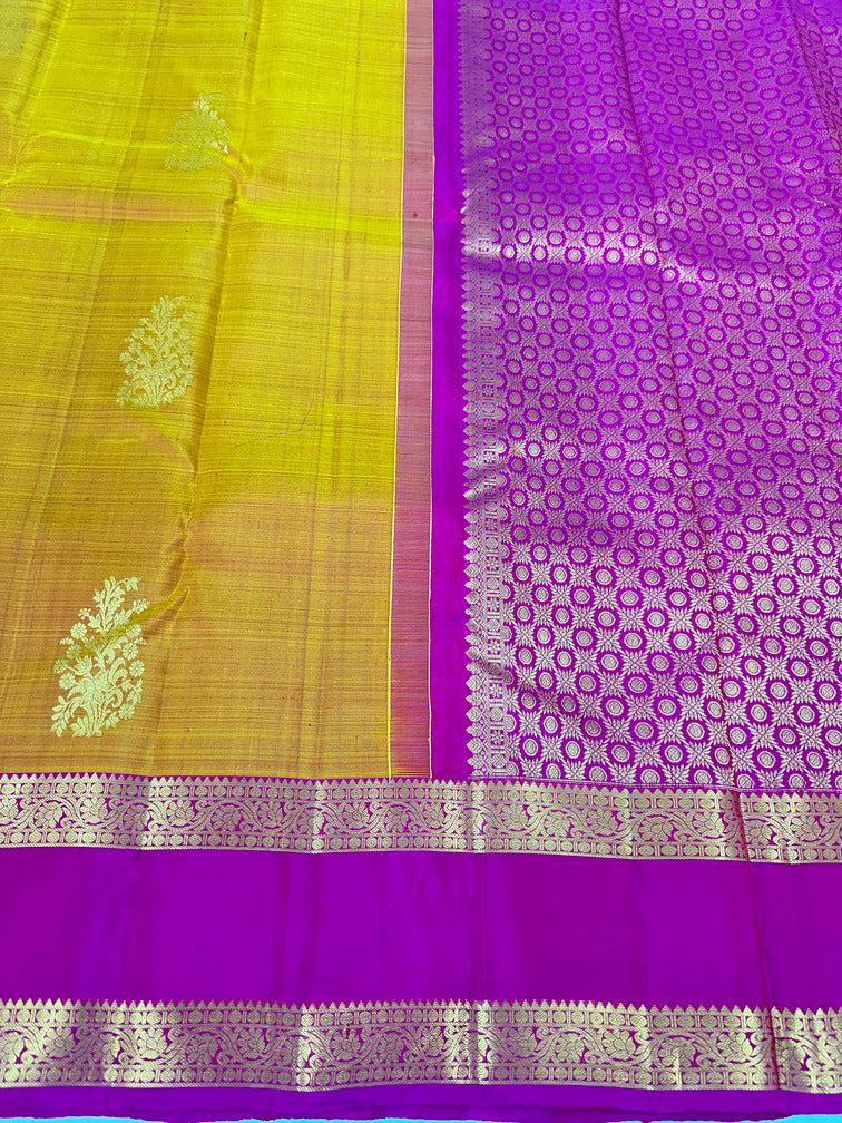 Luxor Gold Kanjivaram Saree With Violet Zari Pallu