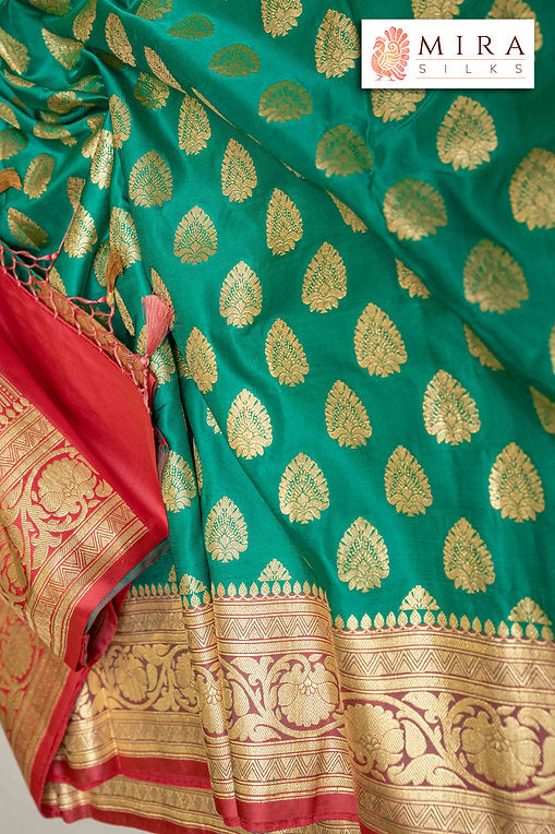 Basil green with coral pink banaras silk sari